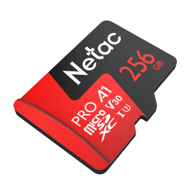 Карта памяти MicroSDXC Netac P500 Extreme Pro 256Gb NT02P500PRO-256G-S